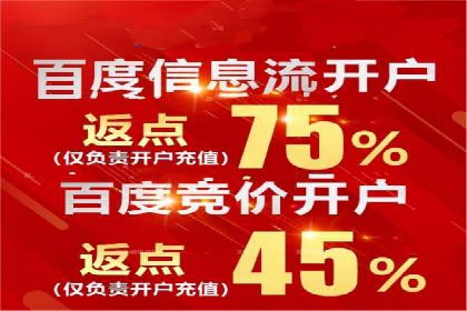 SEM代理服务：助力企业精准营销案例解析